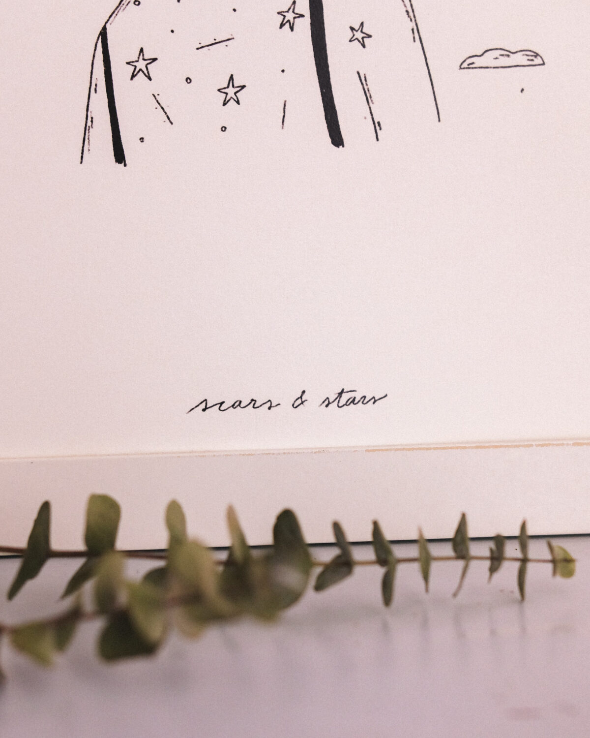 Stars & Scars - Image 5