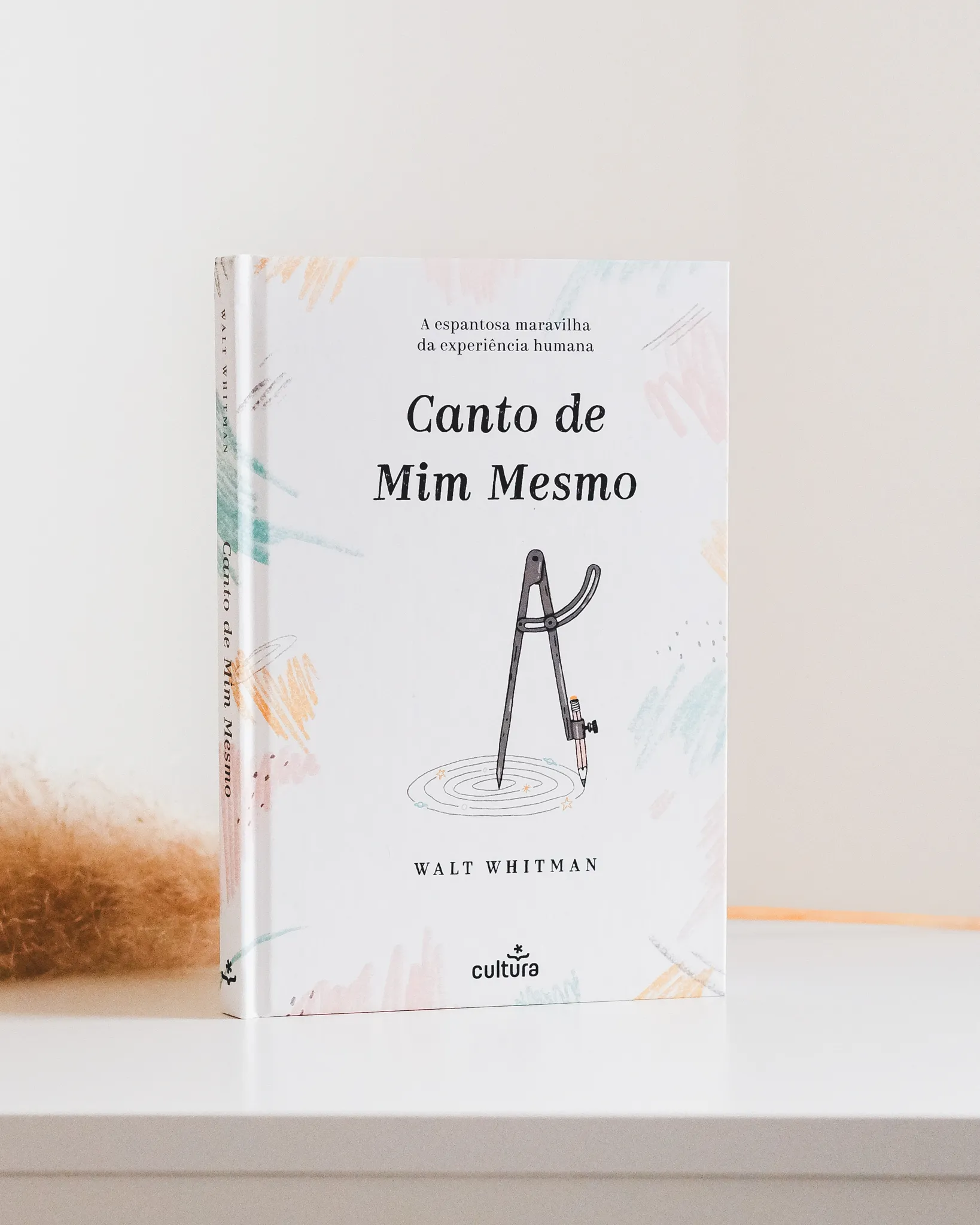 canto de mim mesmo illustration fred gomes creative direction photography-1_result