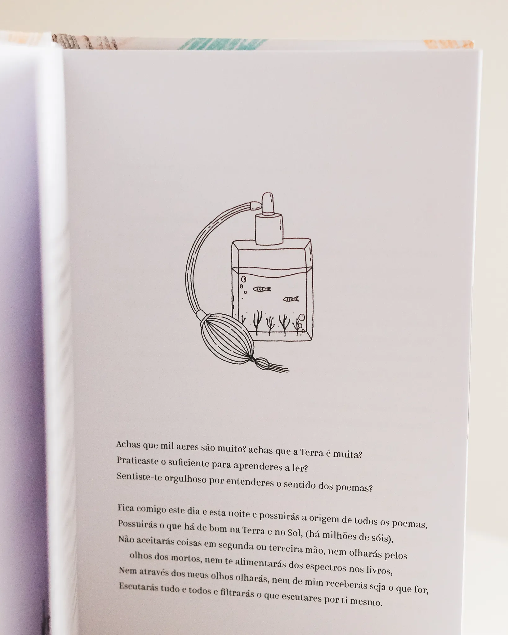 canto de mim mesmo illustration fred gomes creative direction photography-3_result