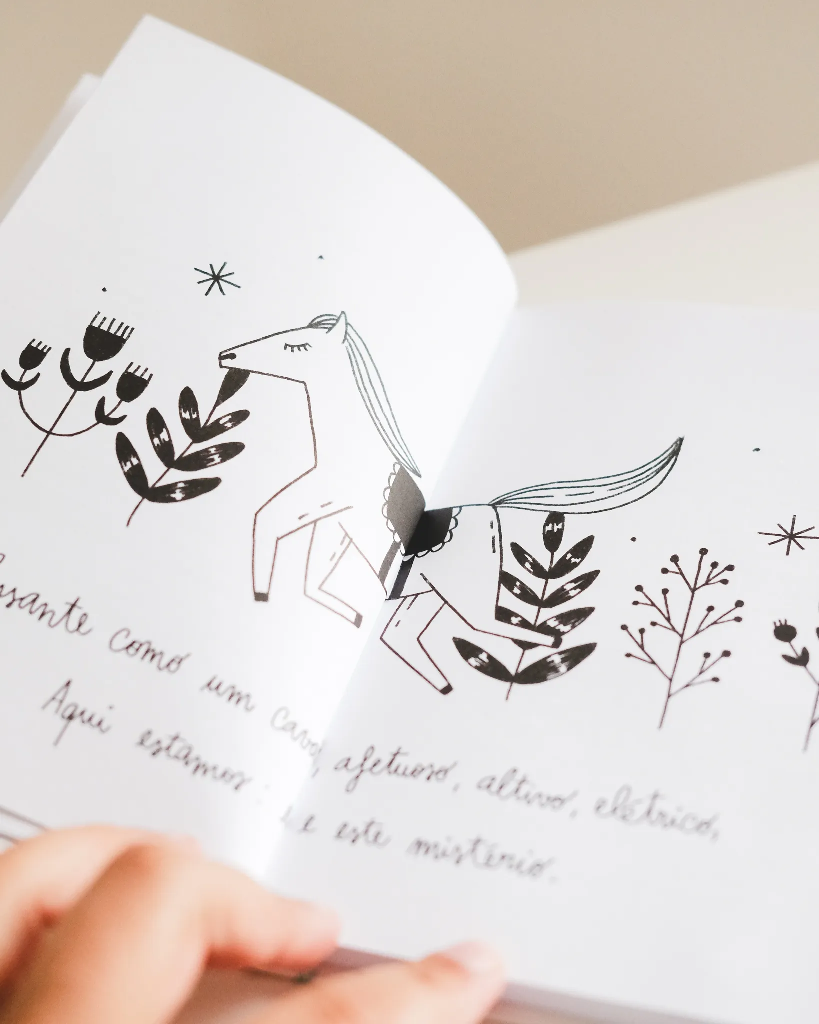 canto de mim mesmo illustration fred gomes creative direction photography-4_result
