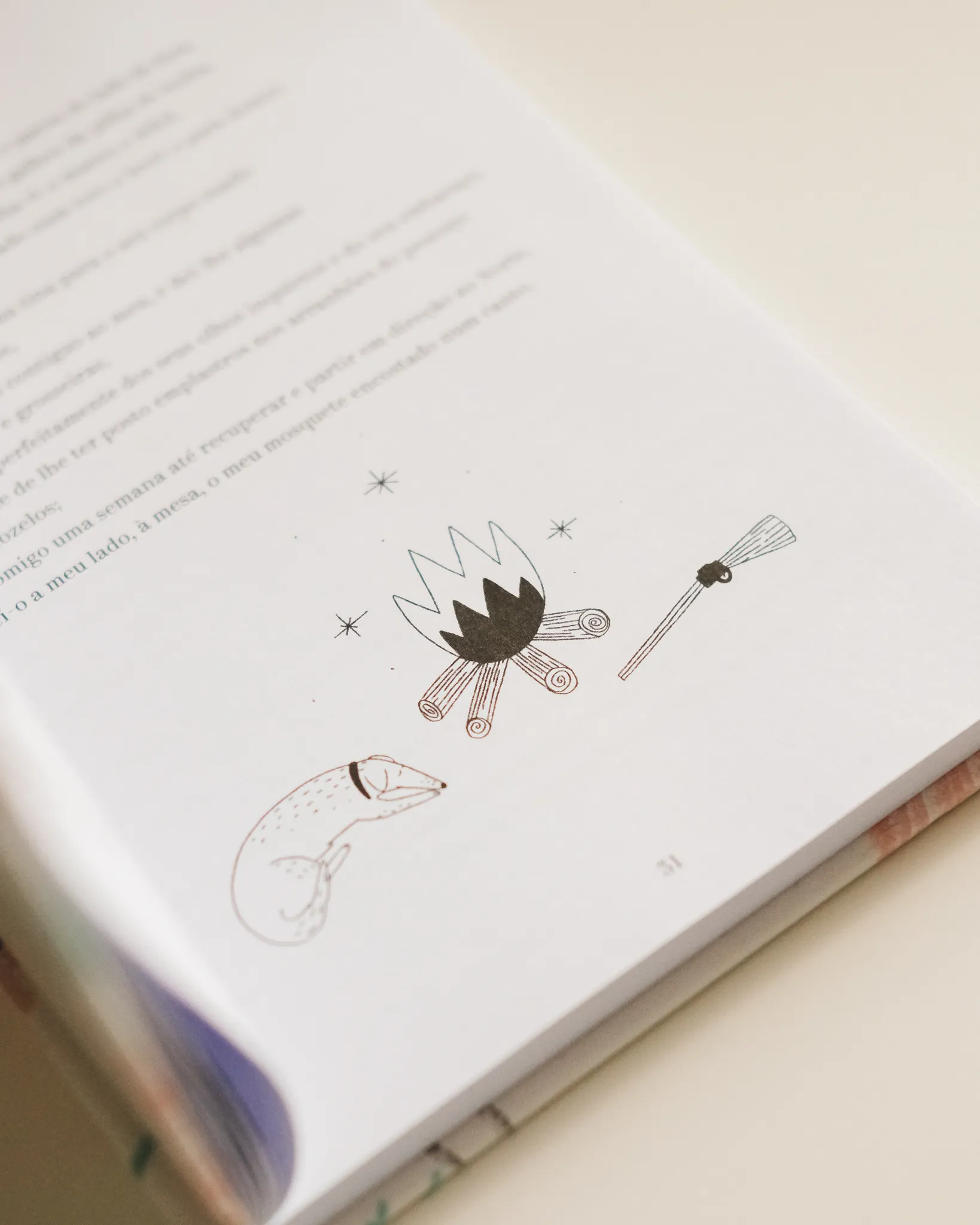 canto de mim mesmo illustration fred gomes creative direction photography-6_result