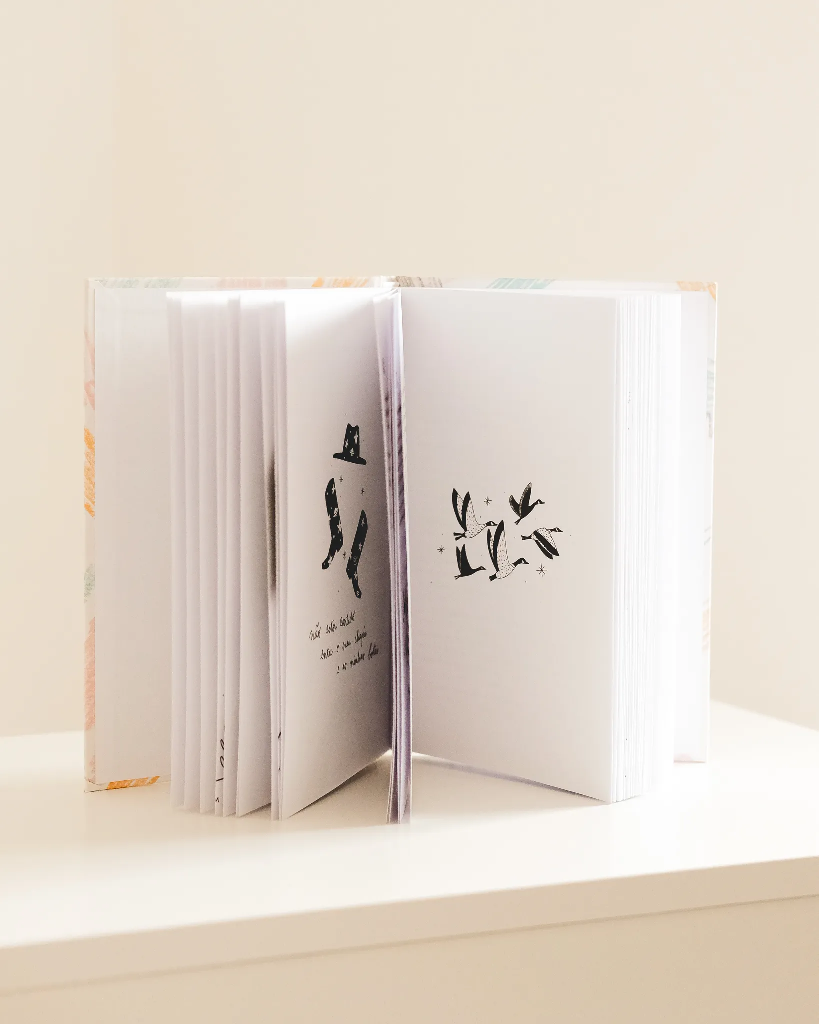 canto de mim mesmo illustration fred gomes creative direction photography-8_result