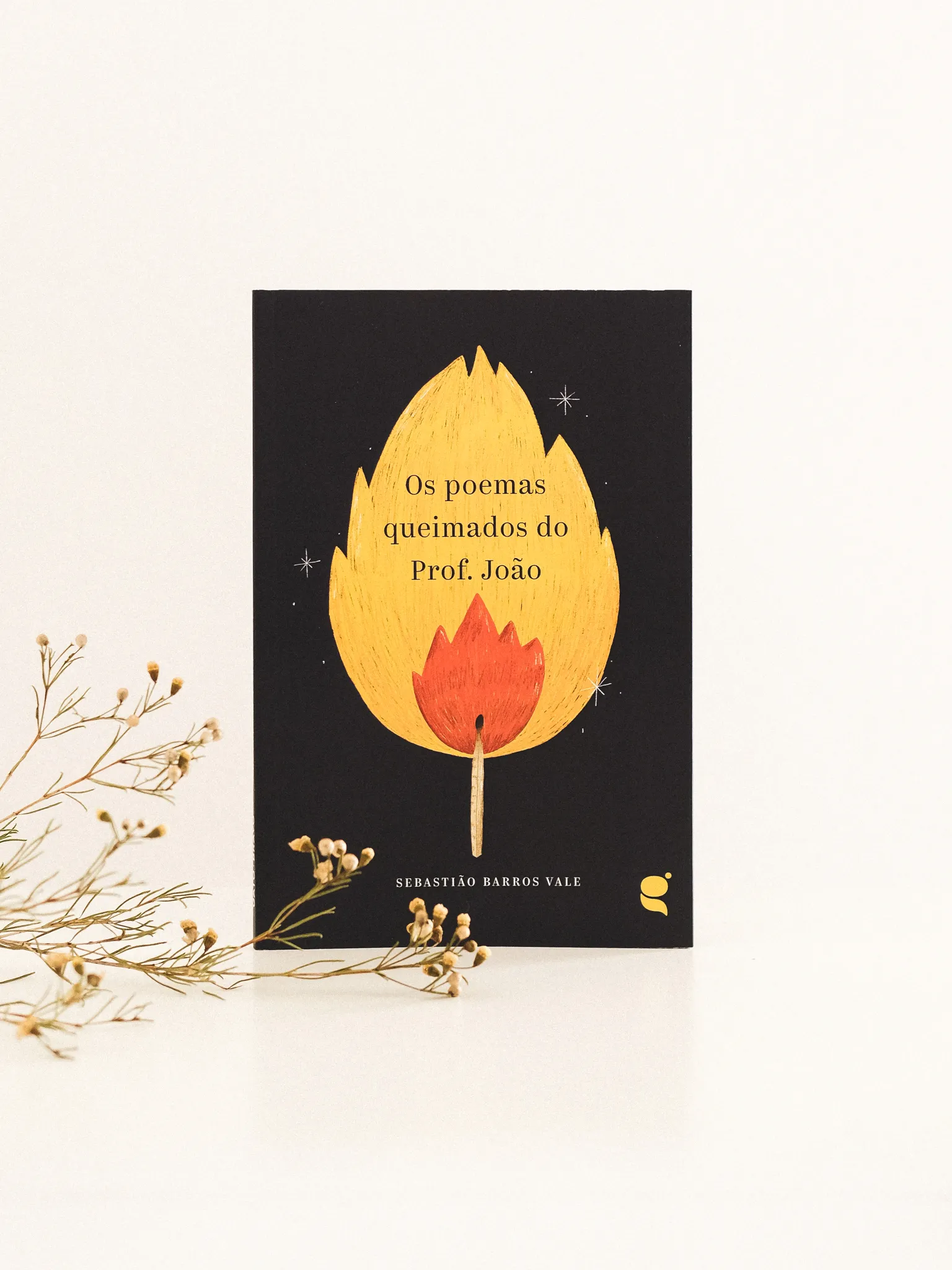 os poemas queimados do prof joao illustration fred gomes creative direction photography-02_result