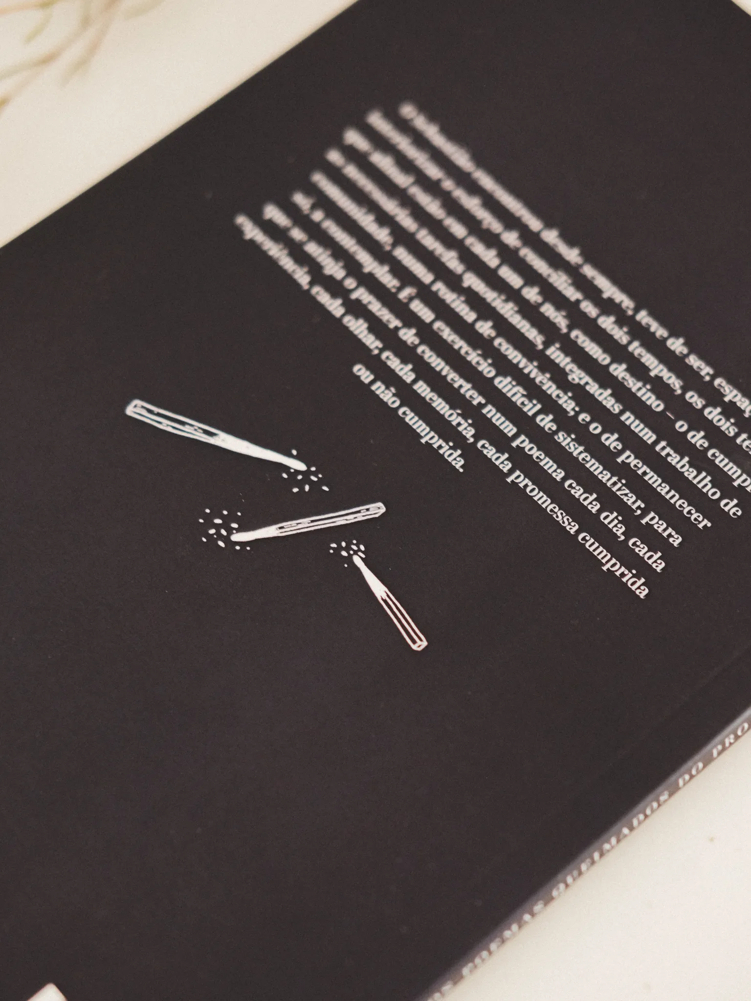 os poemas queimados do prof joao illustration fred gomes creative direction photography-03_result