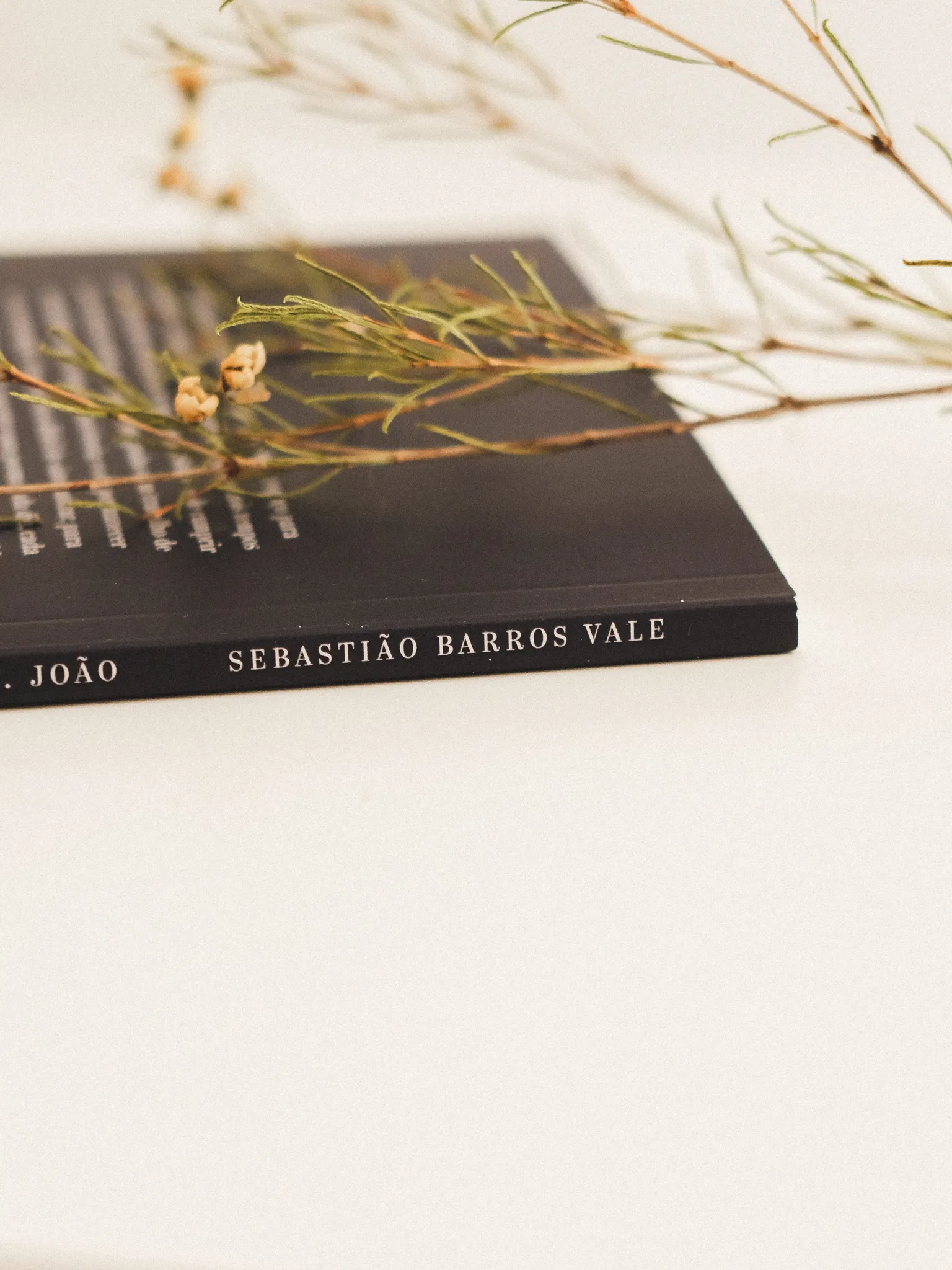 os poemas queimados do prof joao illustration fred gomes creative direction photography-04_result