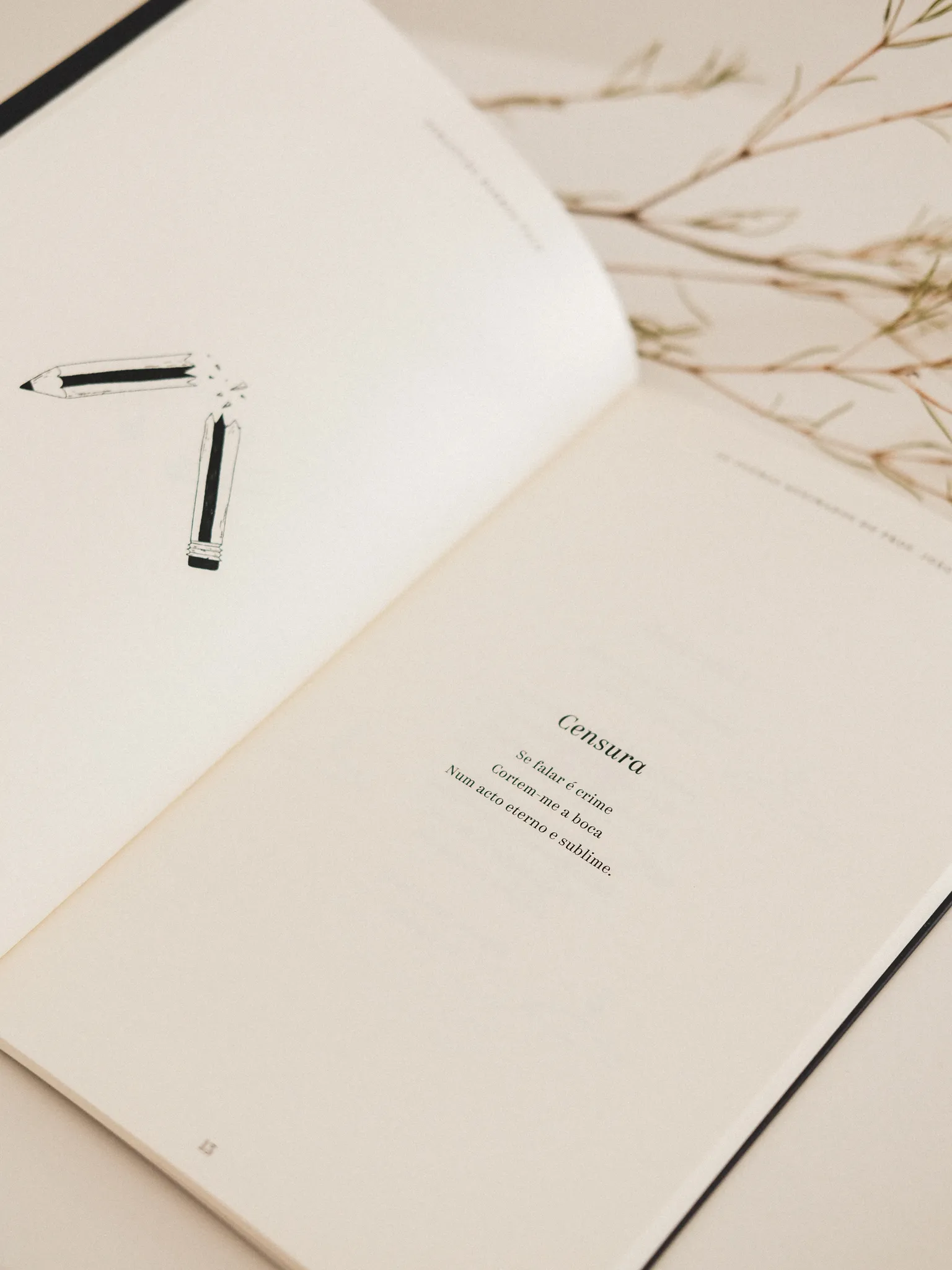 os poemas queimados do prof joao illustration fred gomes creative direction photography-06_result