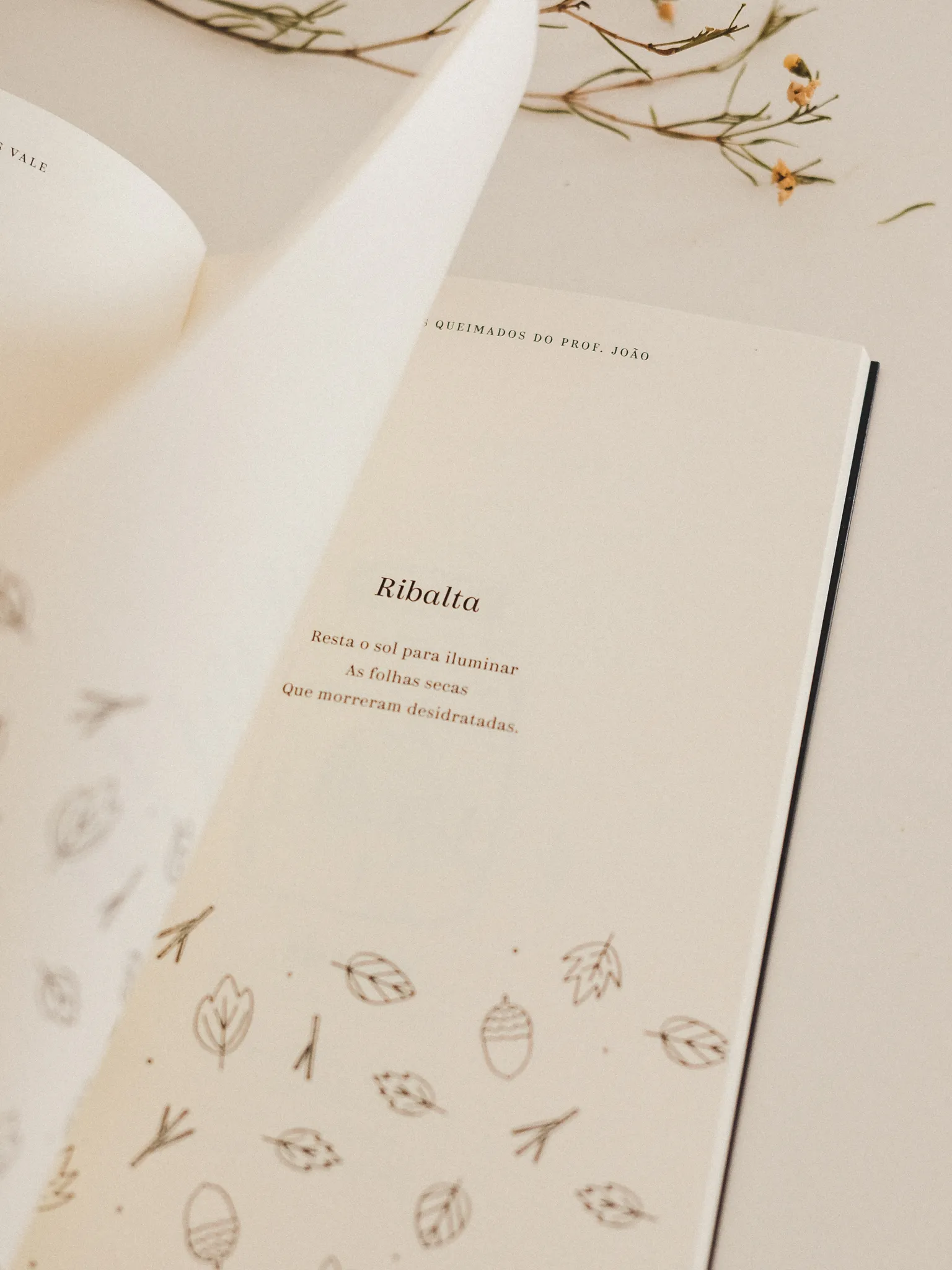 os poemas queimados do prof joao illustration fred gomes creative direction photography-07_result