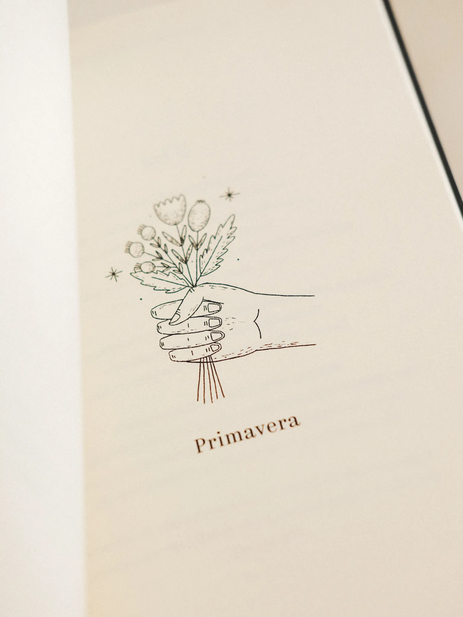 os poemas queimados do prof joao illustration fred gomes creative direction photography-08_result
