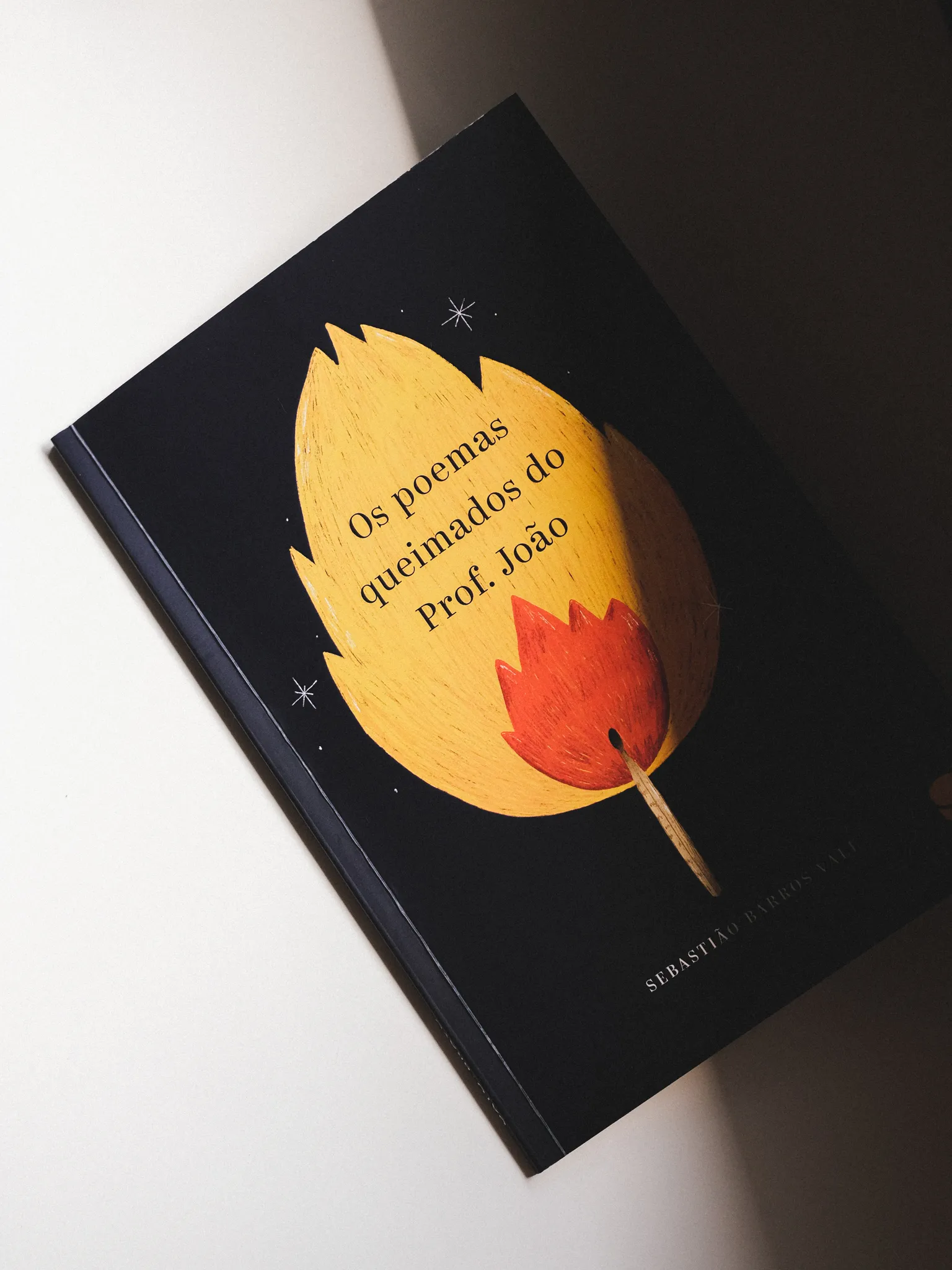 os poemas queimados do prof joao illustration fred gomes creative direction photography-09_result