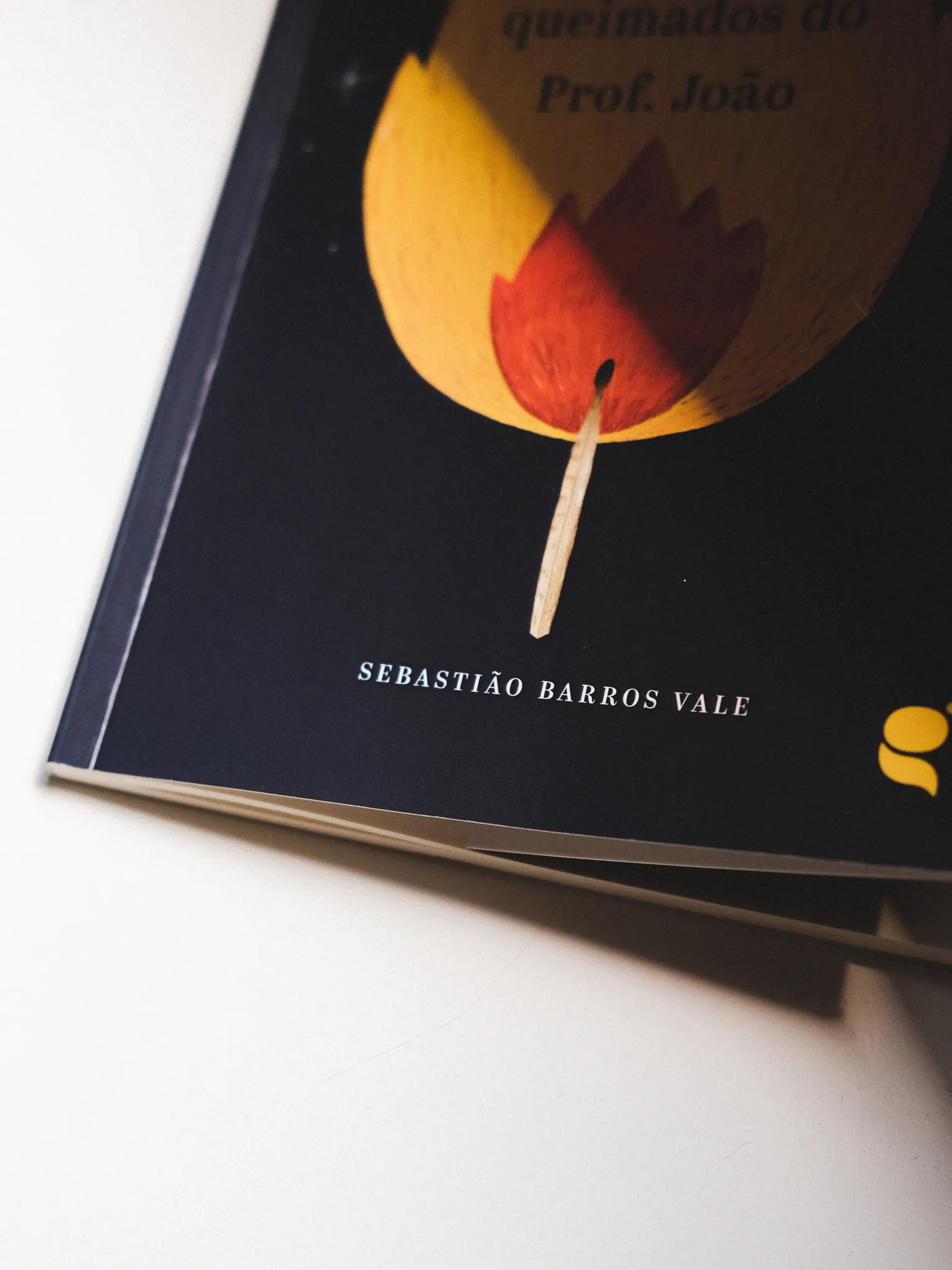 os poemas queimados do prof joao illustration fred gomes creative direction photography-10_result