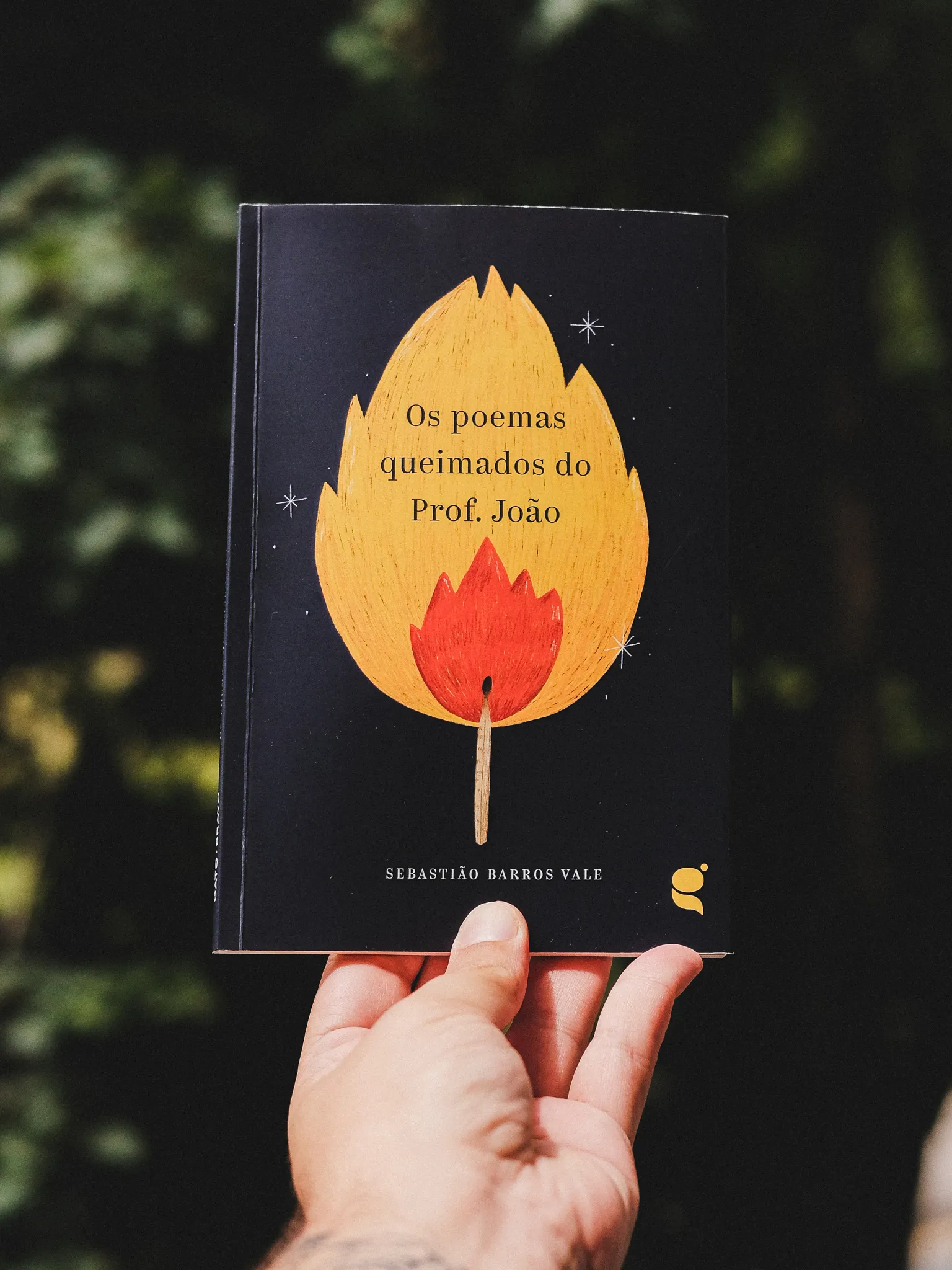 os poemas queimados do prof joao illustration fred gomes creative direction photography-11_result